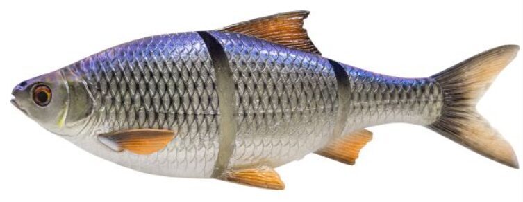 Savage Gear 3D Line Thru Roach SS